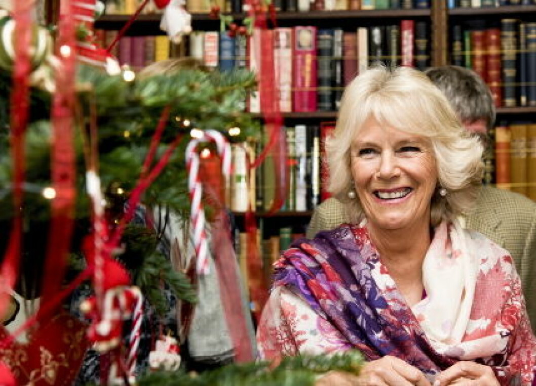 Camilla, Duchess of Cornwall meets some of the patients of Helen & Douglas House for a Christmas lunch at Clarence House in London