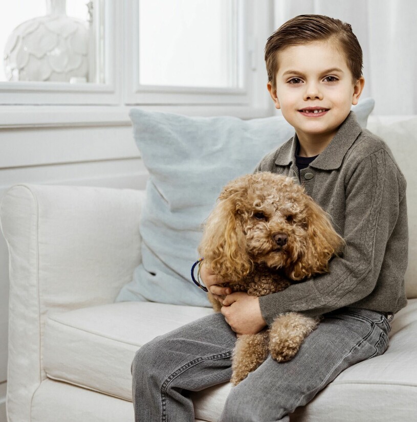 Prins Oscar i soffan på Haga slott med sin hund Rio, en cavapoo