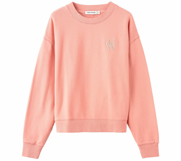 sweatshirt dam