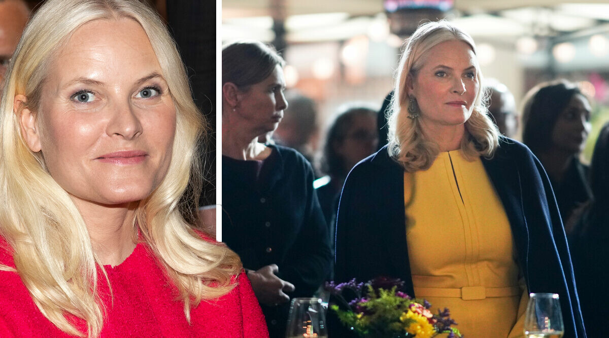 Mette-Marit lungsjuk – så jobbar vården för att hjälpa henne