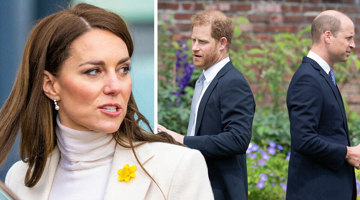 Rörande sanningen mellan William och Harry – reaktionen från Kate