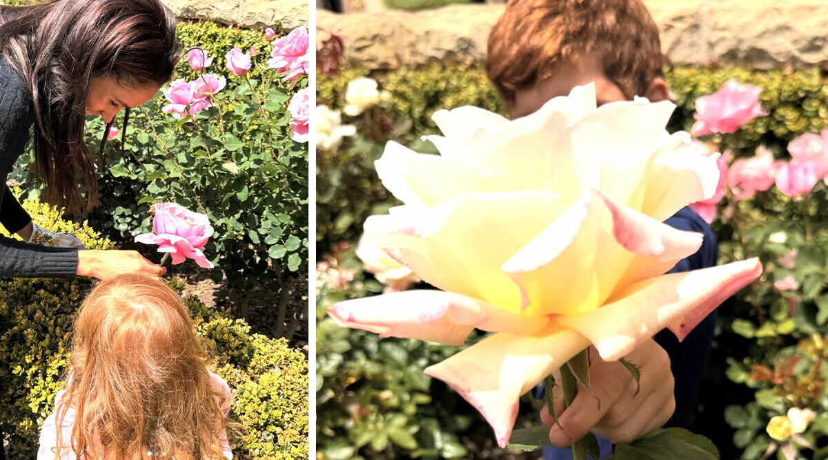 Nya bilderna på Archie och Lilibet får alla att reagera – så har vi aldrig sett dem förut