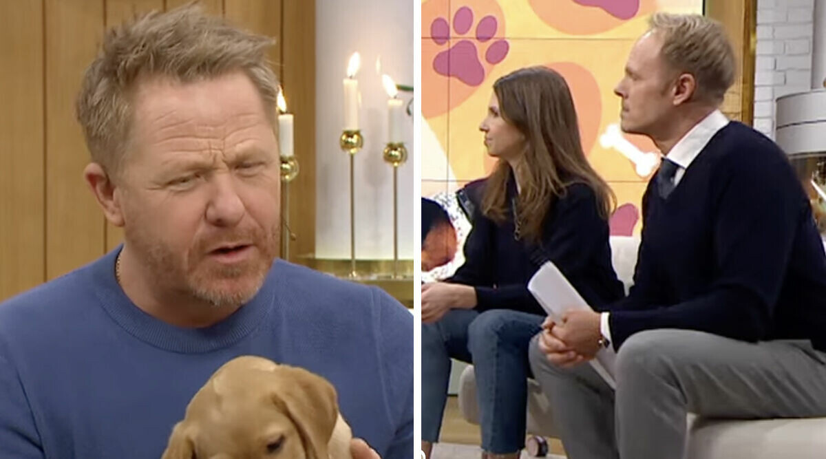 Nymo-profilens hjärtskärande besked – älskade TV4-hunden har inte lång tid kvar