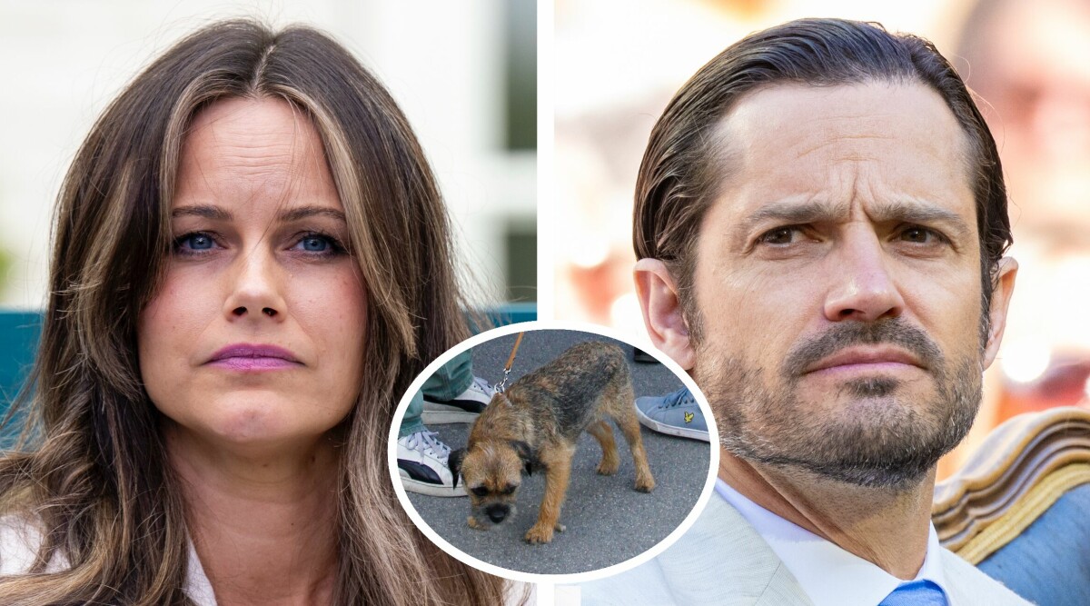 Märkliga händelsen med Carl Philips hund – tagen av polis