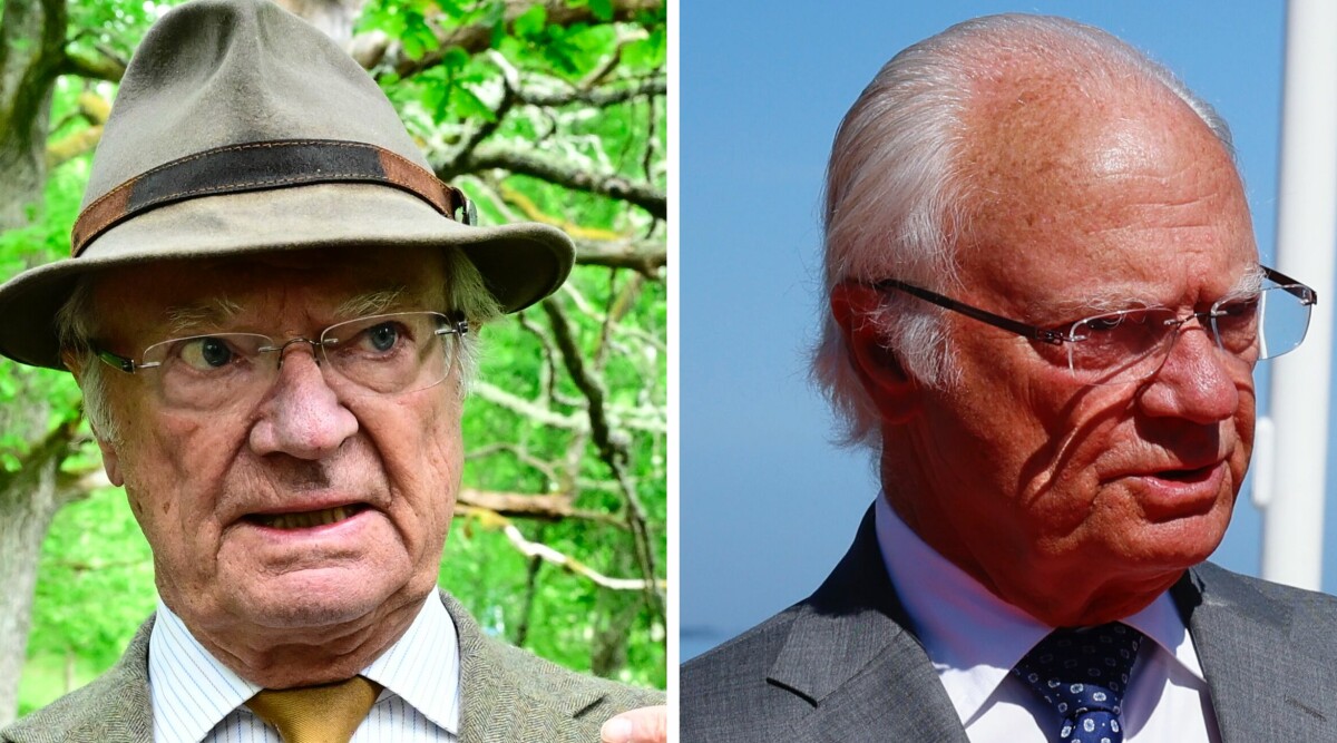 Kritiken mot kungen – efter stora skandalen: "Fungerade inte"