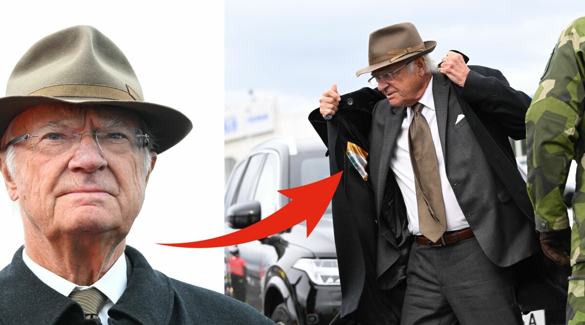 Avslöjad av bilden! Här sätter kungen myror i huvudet på alla