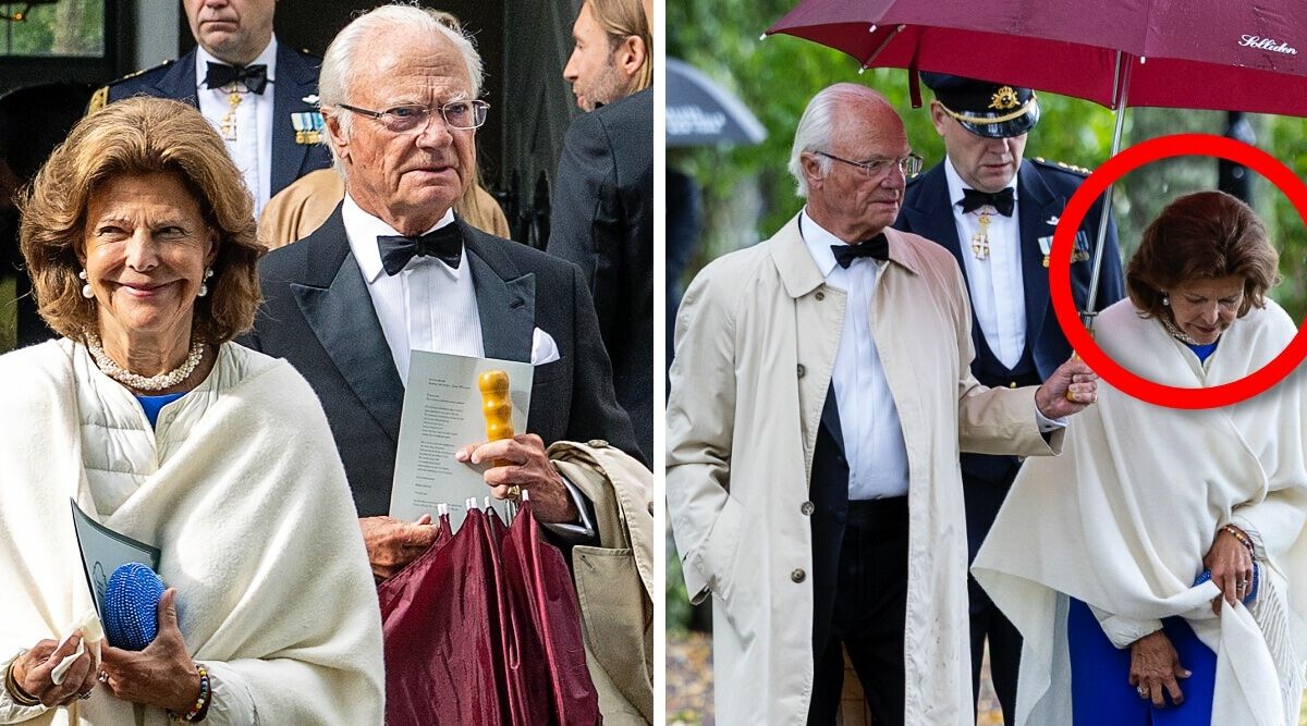 Kungens fina gest till Silvia – händer framför kamerorna