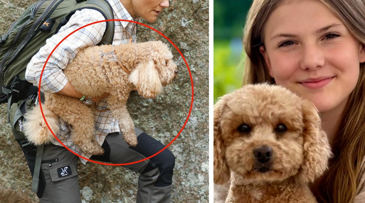 Prinsessan Estelle, 13, bär familjens hund Rio i famnen – nu reagerar många