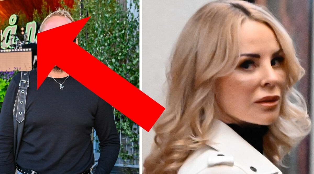 Profilens attack mot Zlatan – här är orden Helena Seger inte vill höra