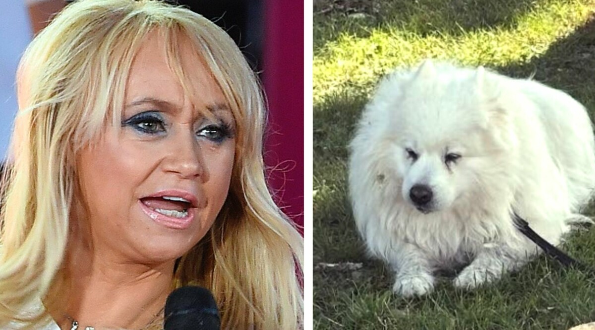 Nanne Grönvalls otäcka upptäckt med hunden Ripley: "Känns fruktansvärt"