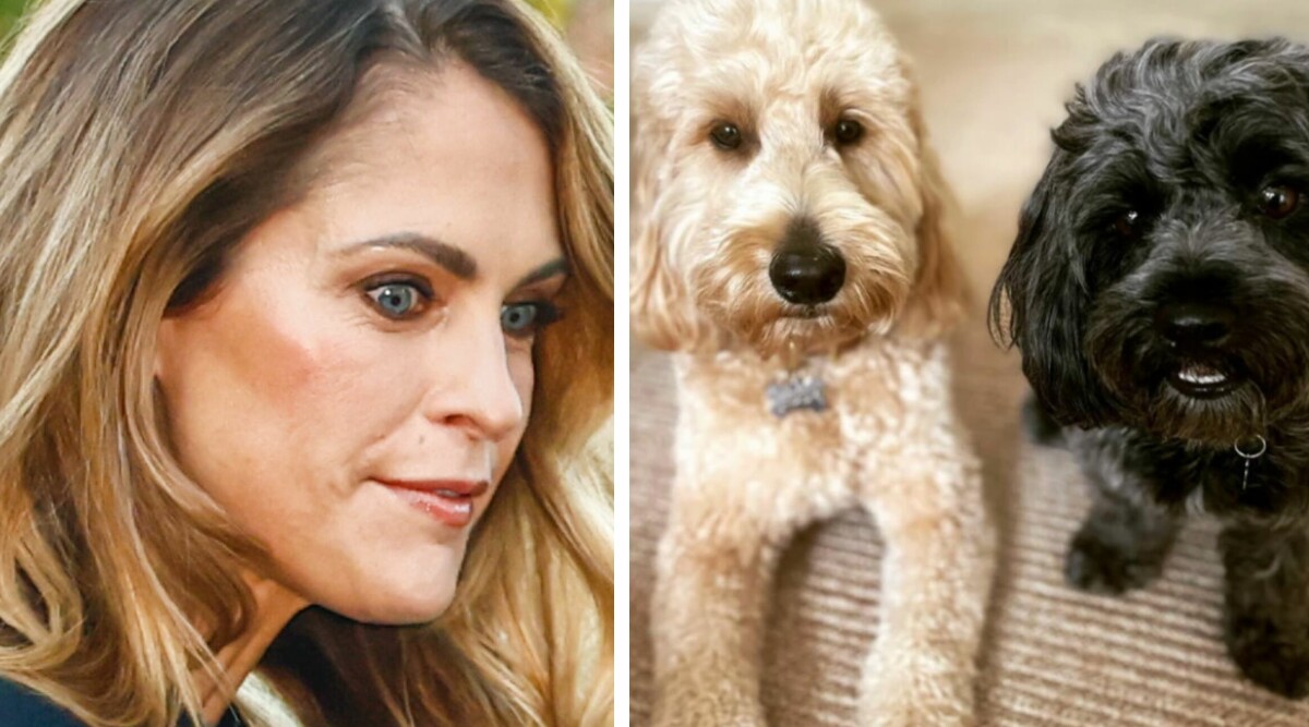 Prinsessan Madeleines första ord om hunden sedan mystiska omplaceringen