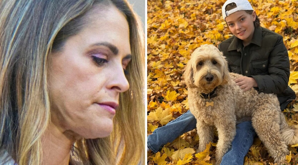 Storbråk efter prinsessan Madeleines bild på hunden Teddy: "Reagerar starkt"