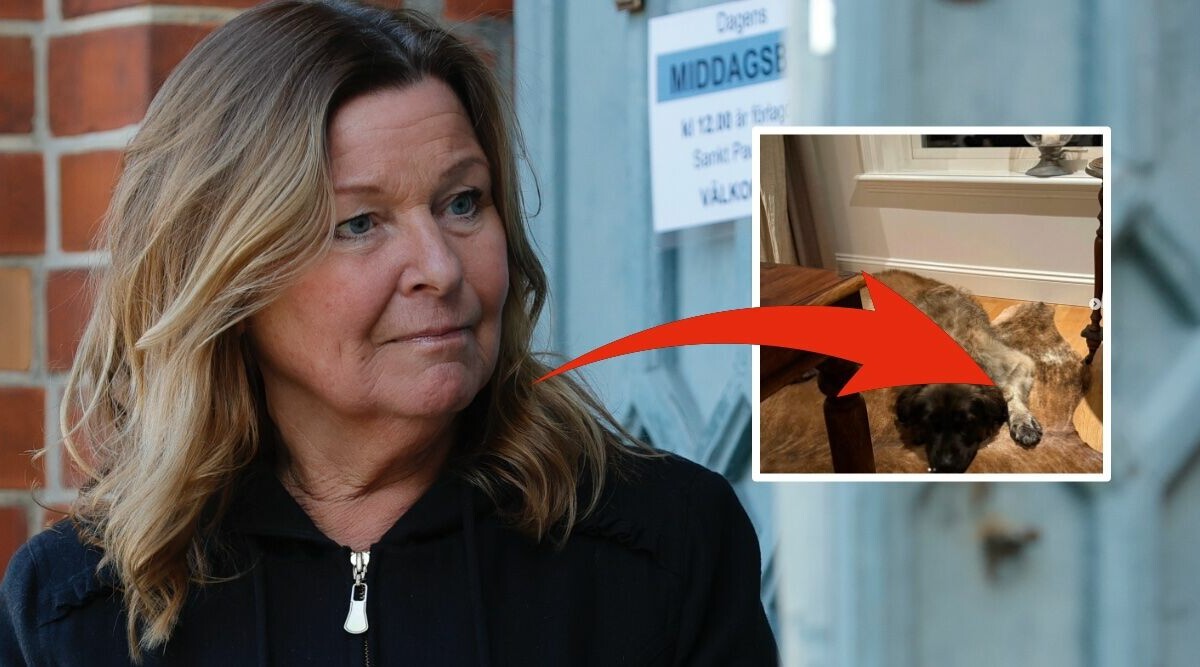 Lotta Engbergs bild på hunden väcker kraftiga reaktioner