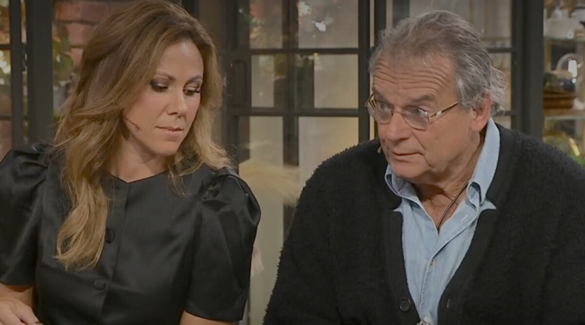 TV4 fällda för Steffo Törnquists ord i Nyhetsmorgon – gick över gränsen