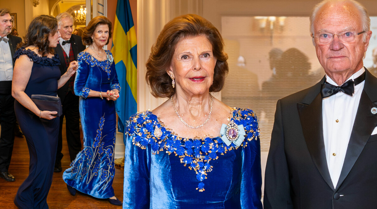 Drottning Silvia glänser i sammet! Så var kungliga festen i natt