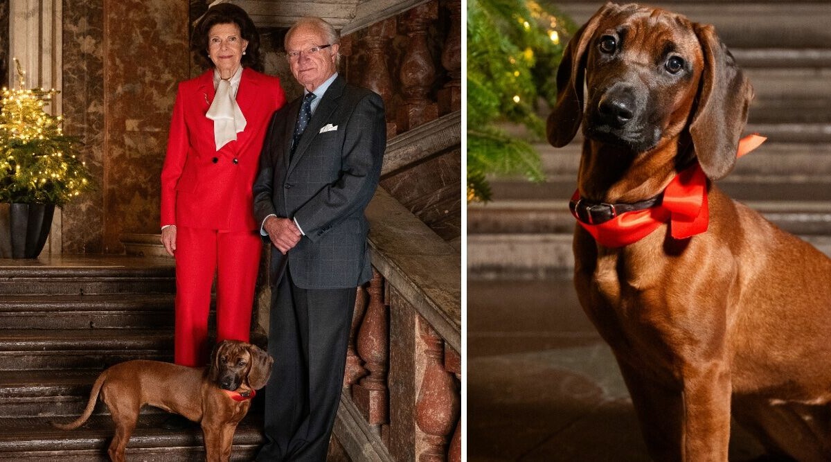 Sötchock när kungaparet firar jul med valpen Bonnie