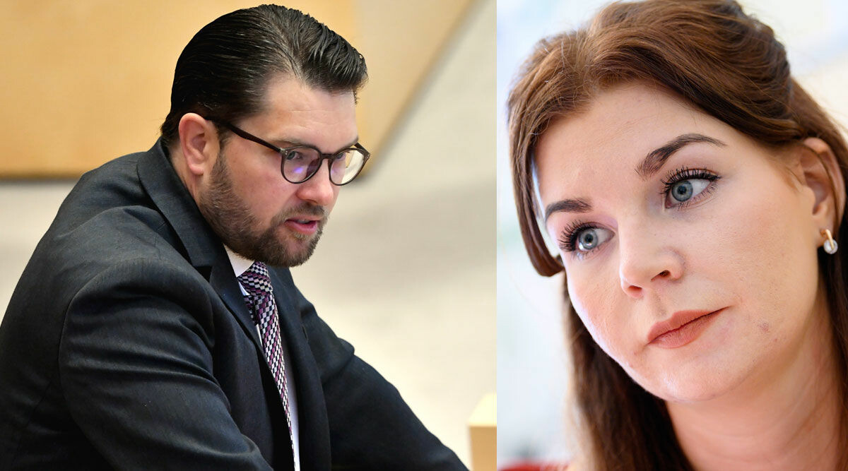 Louise Erixons mörka förflutna och detkraschade förhållandet med Jimmie Åkesson