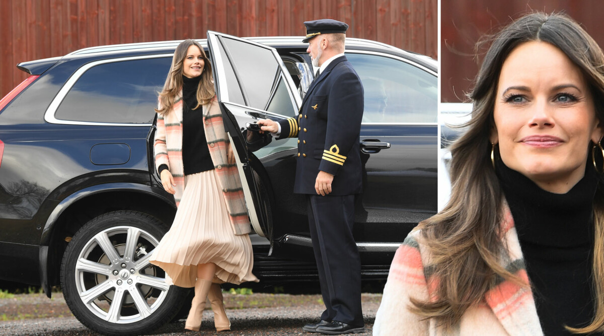 11 bästa bilderna! Prinsessan Sofia på uppdrag för kungen