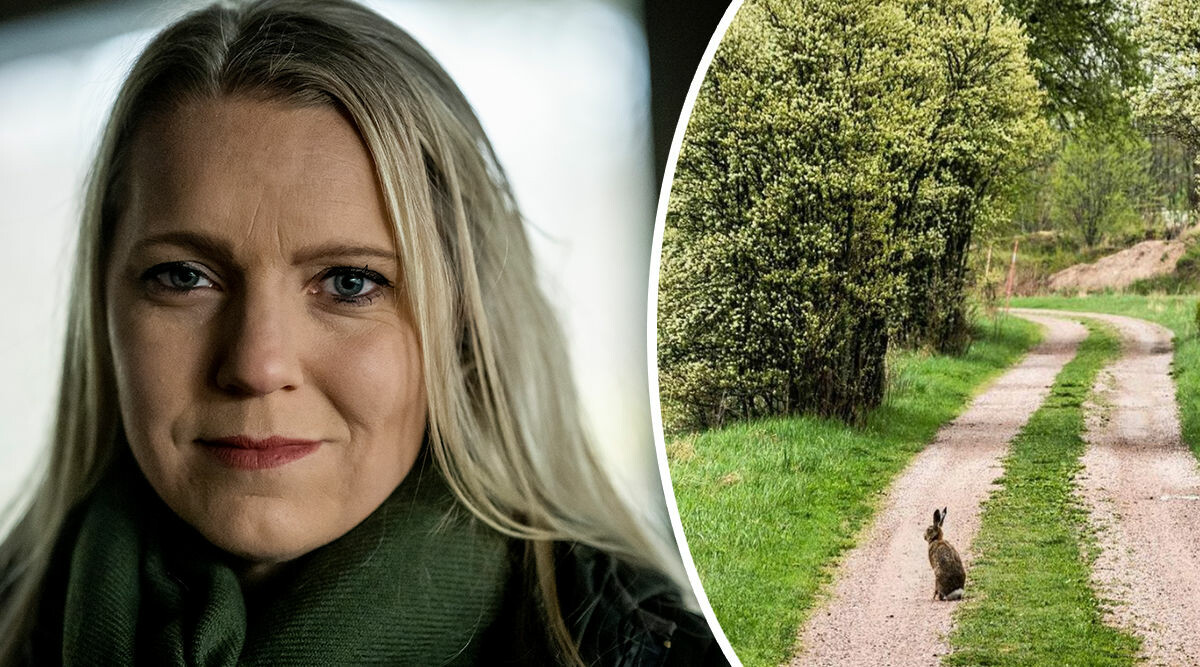 Bakslaget för Carina Bergfeldt – stora drömmen gick i kras