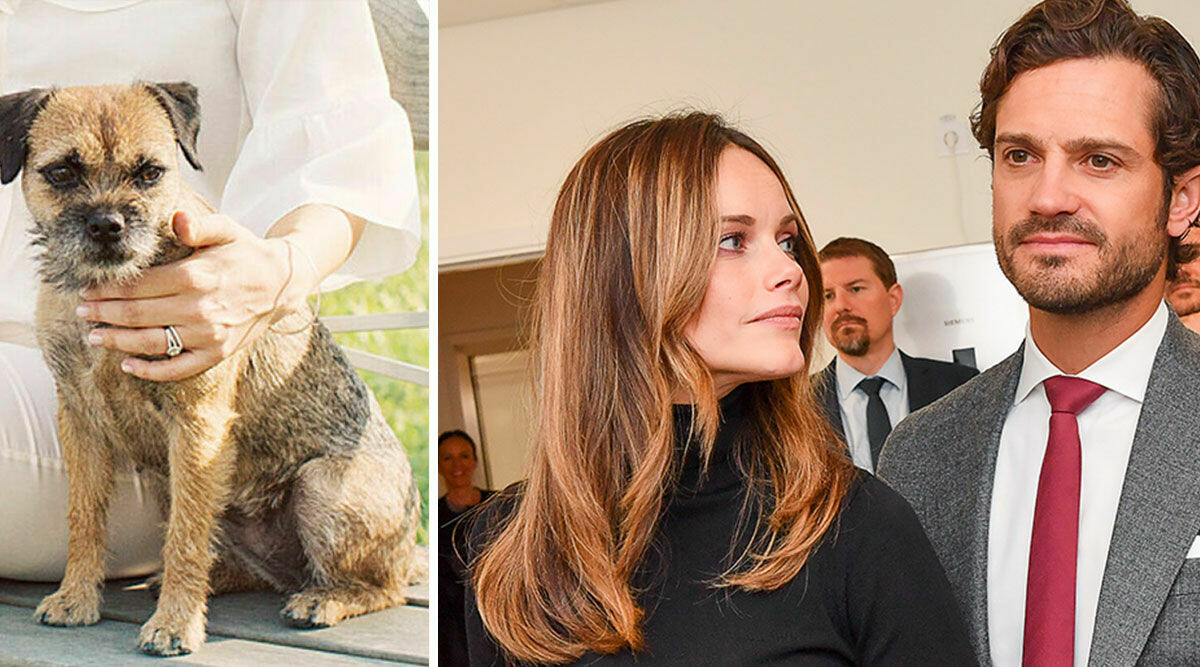 Avslöjandet om Carl Philips och Sofias hund Siri – privata bilden visar