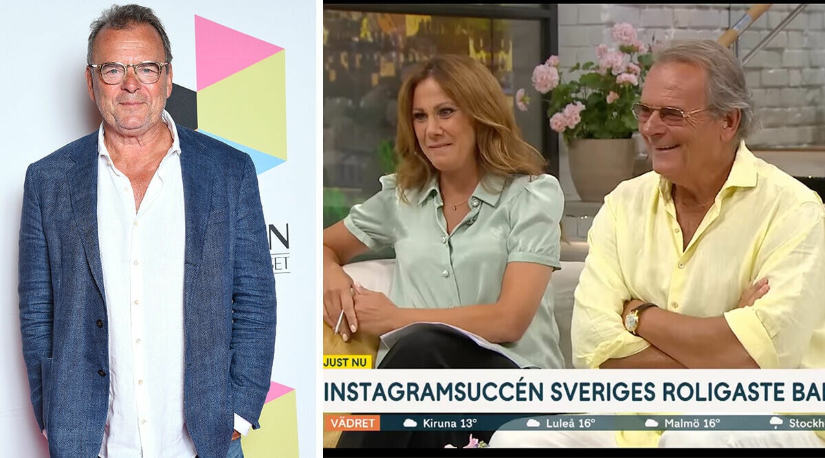 Skrattfest i Nyhetsmorgon – klippen som fick Steffo Törnquist att bryta ihop!