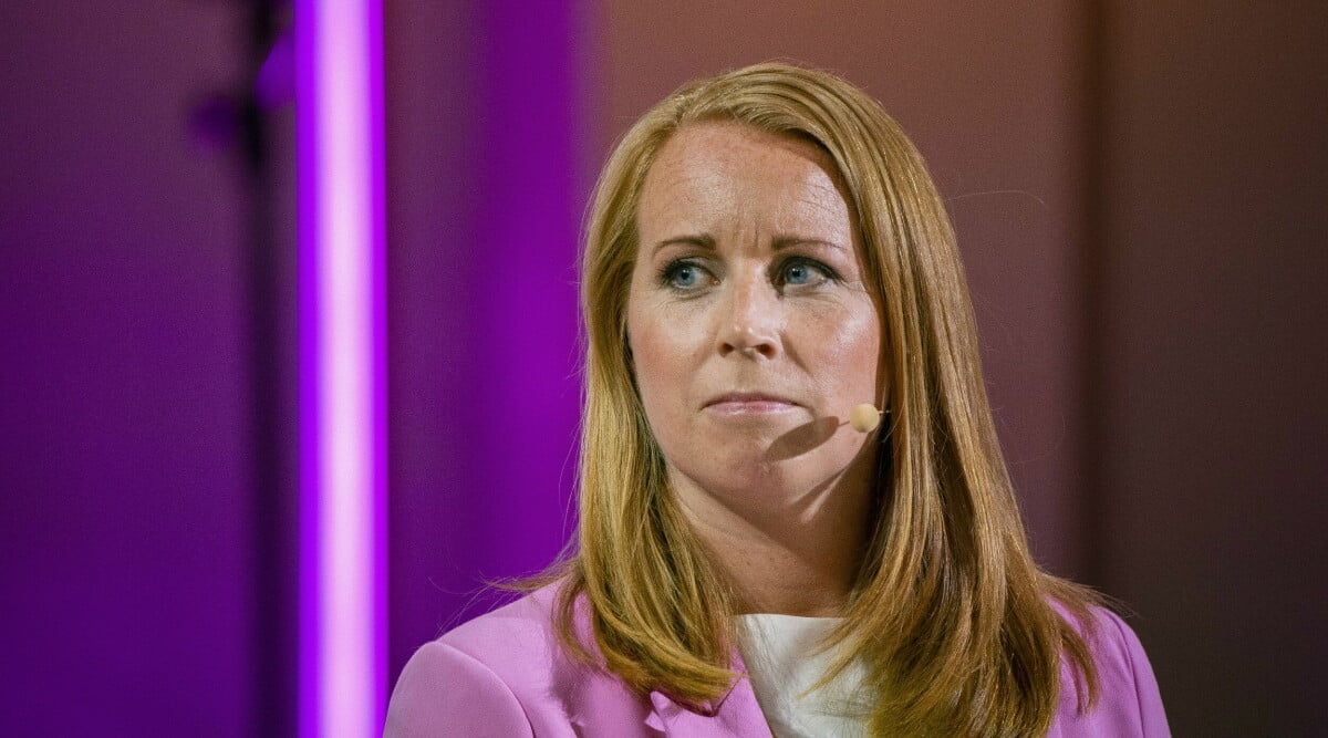 Chockerande uppgifter bekräftade – partiledaren Annie Lööf skulle knivmördas