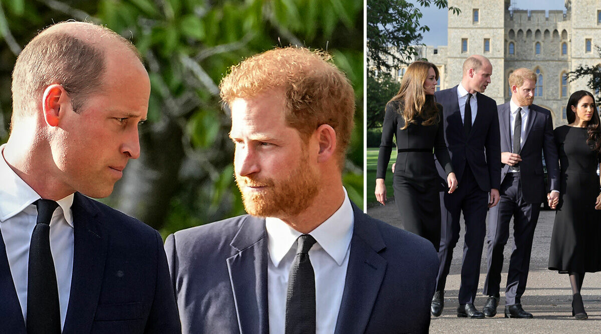 Hemliga telefonsamtalet avslöjar – därför syntes Harry och Will plötsligt tillsammans igen