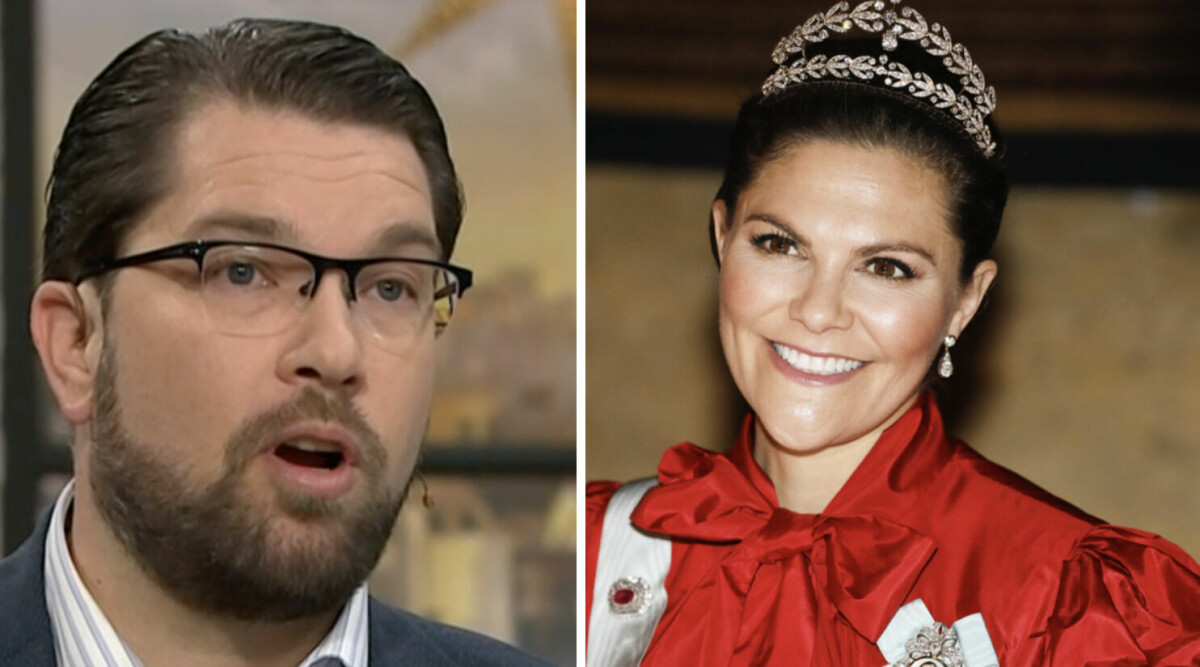 Här sågar Jimmie Åkesson kvällen med Victoria – direkt i Nyhetsmorgon