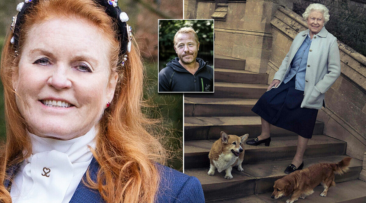 Fergies kamp för drottning Elizabeths corgis – hundexpertens råd