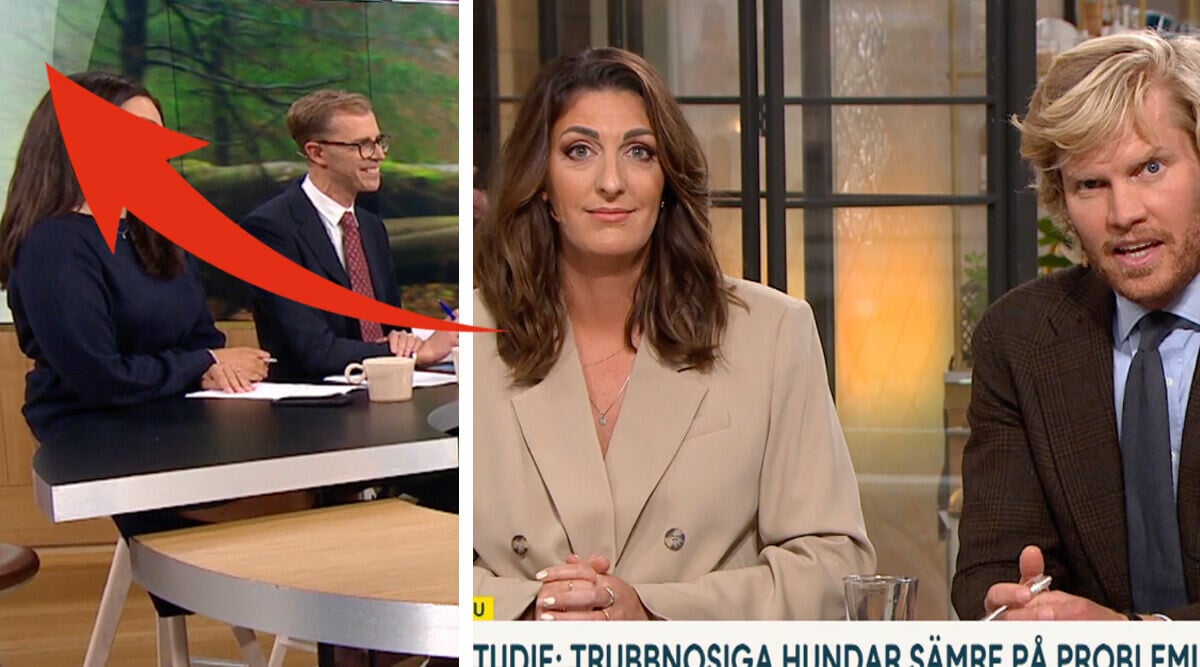 Älskade programledaren gör comeback i Nyhetsmorgon – nu jublar tittarna