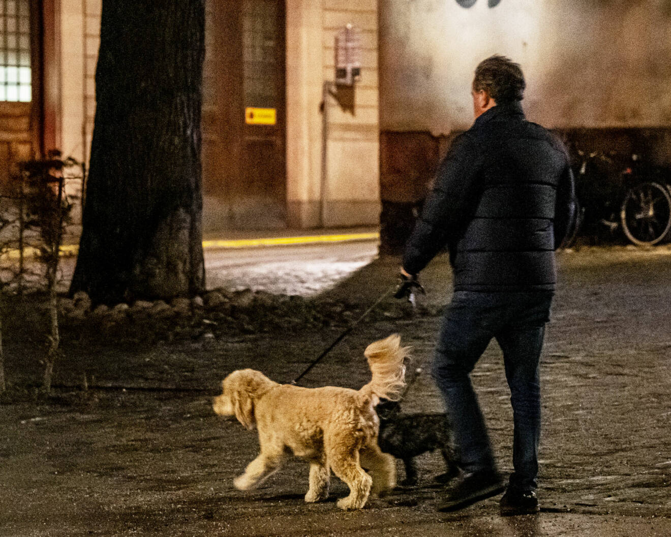 Chris O’Neill på promenad med hundarna Teddy och Oreo