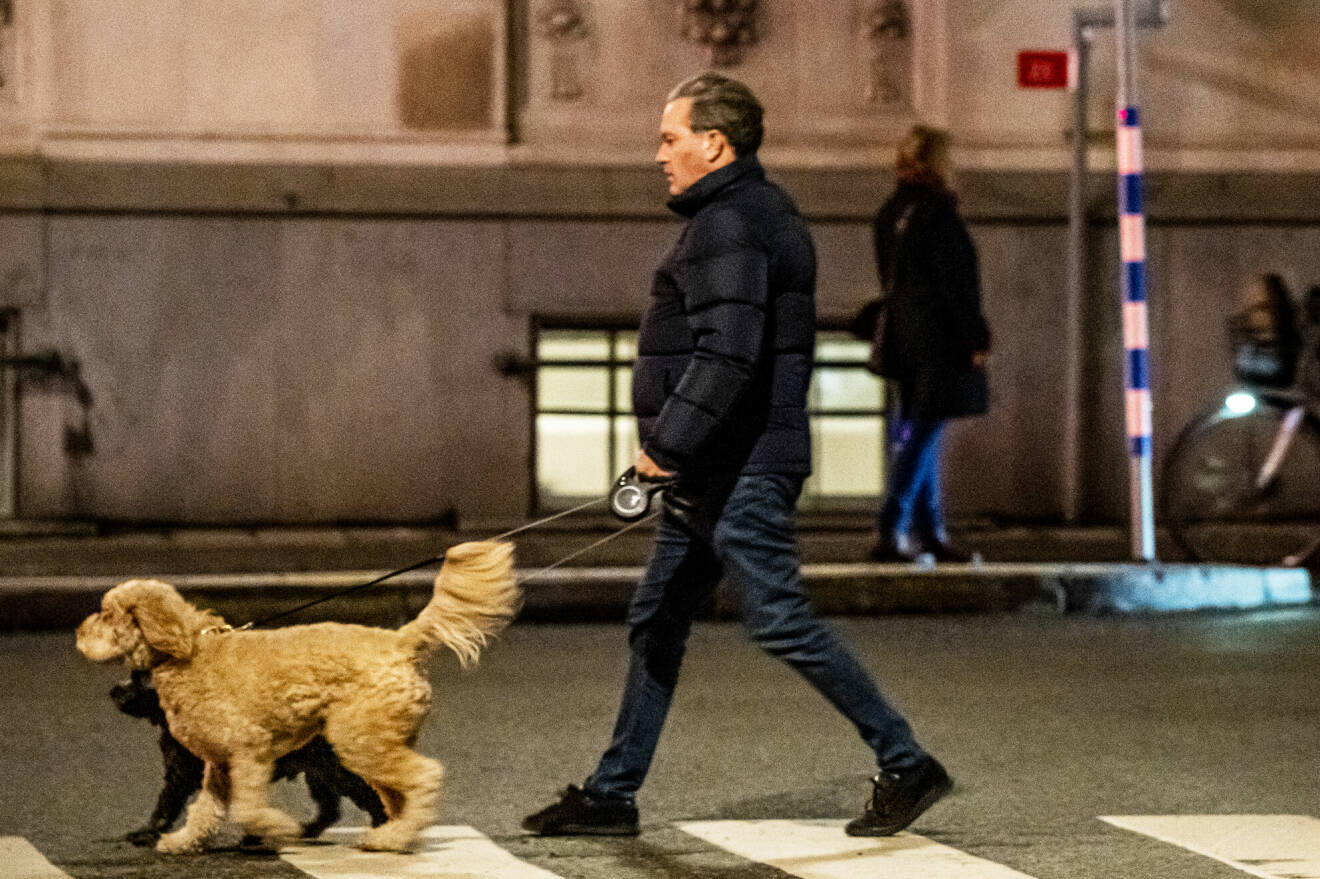 Chris O’Neill på promenad i Stockholm med hundarna Teddy och Oreo