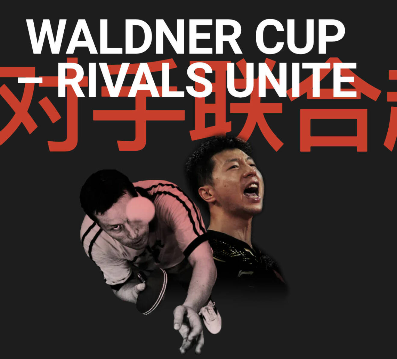 Waldner Cup