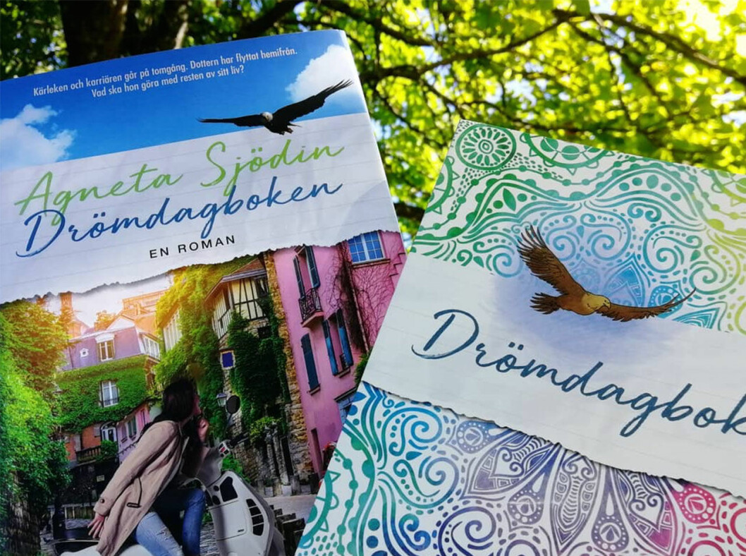 Drömdagboken, en roman av Agneta Sjödin