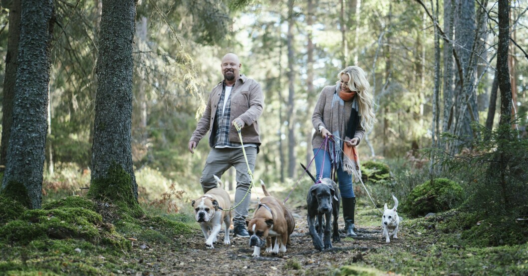 En väldigt stor del av makarnas liv handlar om deras älskade hundar.