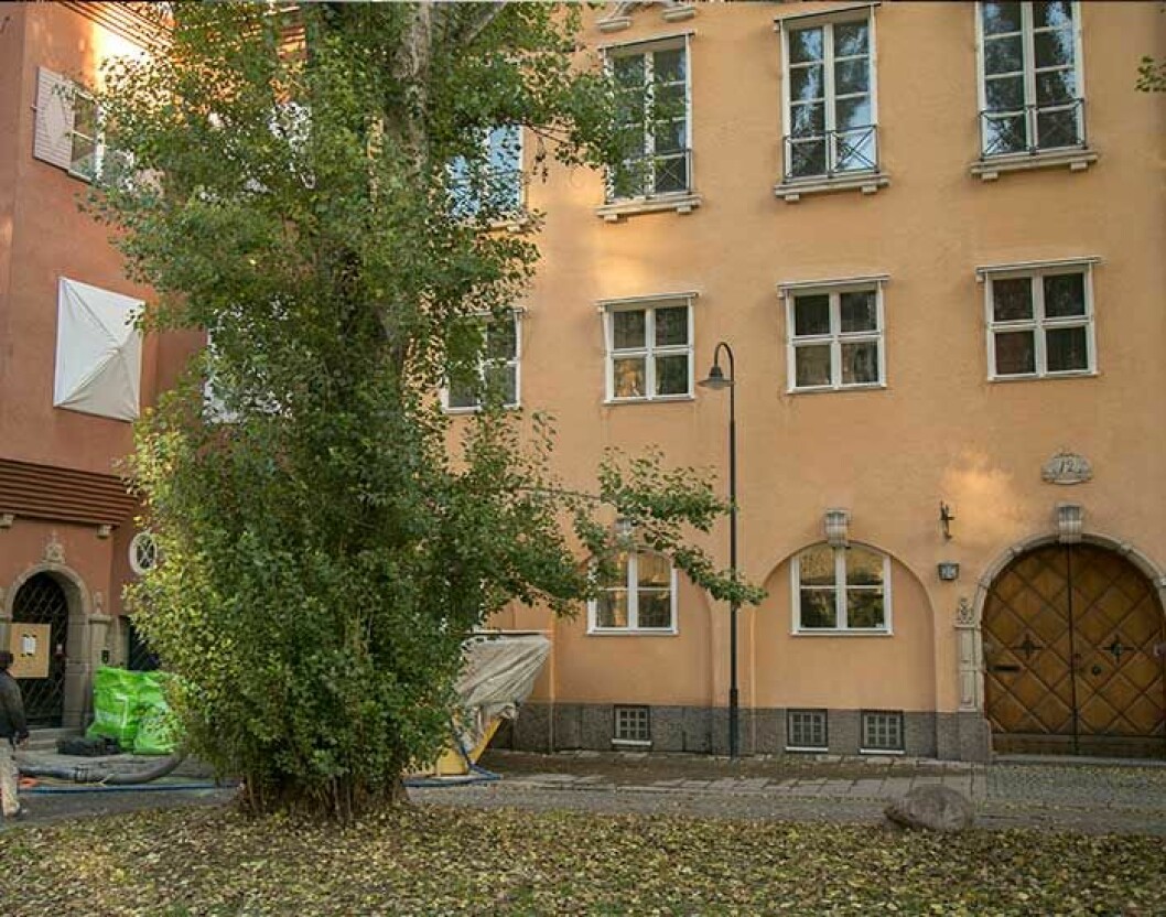 Katarina har renoverat sitt aprikosfärgade hus för omkring 30 miljoner kronor.