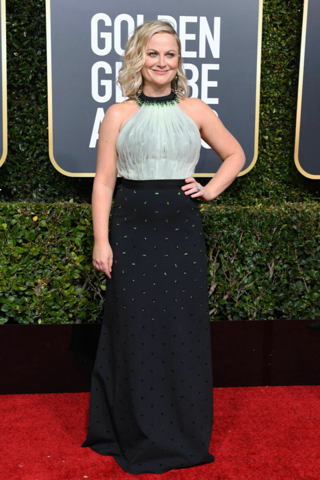 Amy Poehler på röda mattan. Amy Poehler på Golden Globe 2019