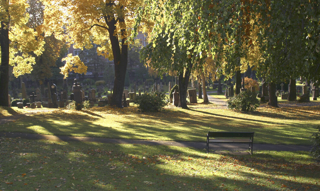Vår Frelsers gravlund i Oslo. Vår Frelsers gravlund i Oslo, här ligger Ari Behns grav.