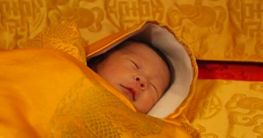 Första närbilden på "Baby-Bhutan"