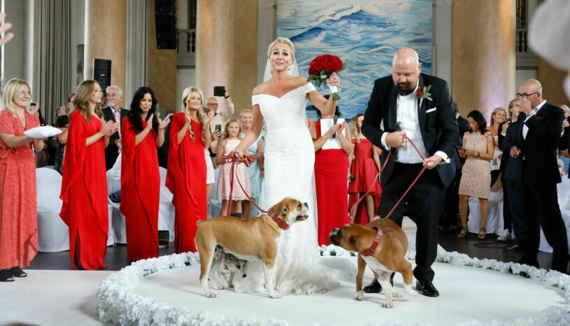 Anders Bagge gifter sig med Johanna Lind – självklart med hundarna på plats! Foto: Malin Bondeson