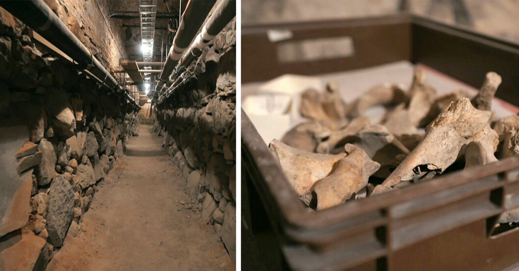 Den tillsynes kusliga källaren beskrivs som ett av de mest historiskt laddade utrymmen på slottet. Foto: SVT Det kungliga slottet