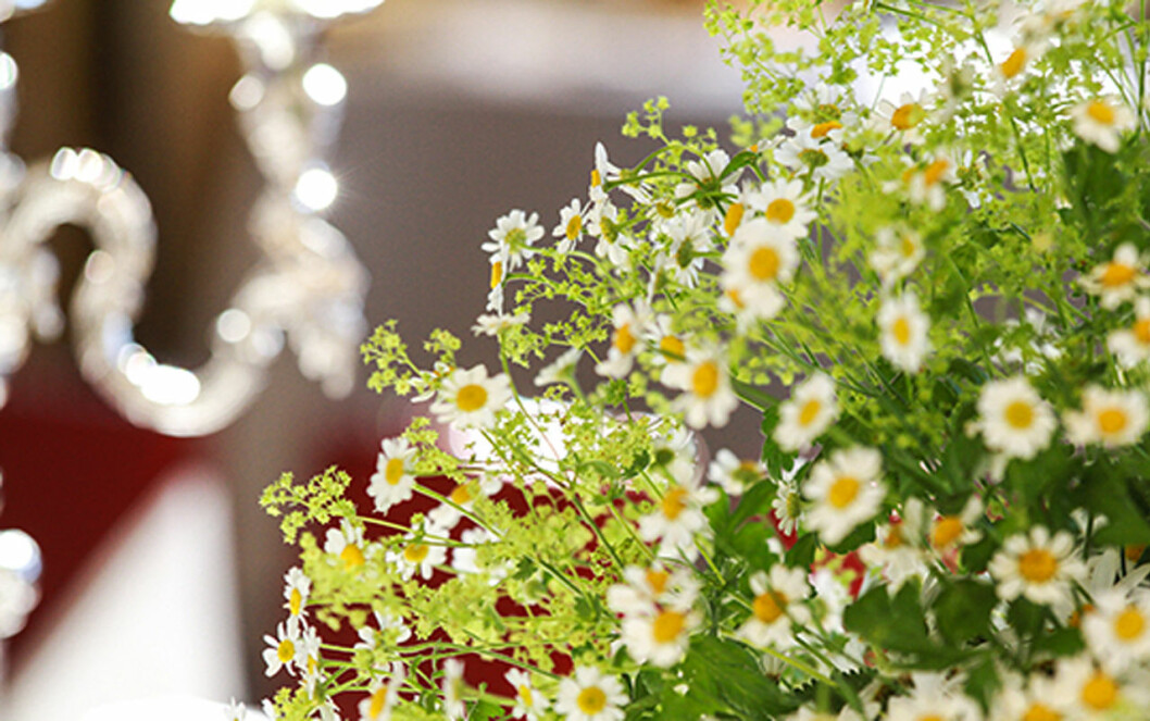 Hovfloristen Claes Carlsson hade skapat blomsteruppsättningar med försommar-feeling. Magritteblommor och daggkåpa prydde borden under kungaparets galamiddag.