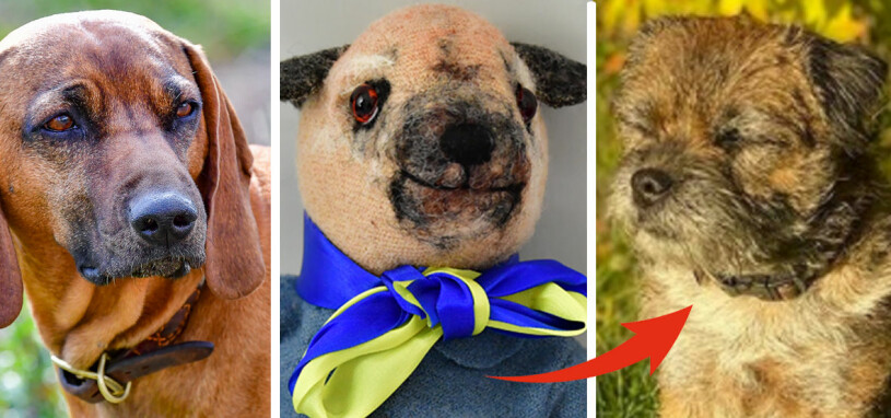 Den kungliga dophunden – visst är det borderterriern Siri upp i dagen. Kungens hund Brandie bayersk viltspårhund Prins Carl Philips hund Siri borderterrier Prins Julians doppresent från riksdag och regering