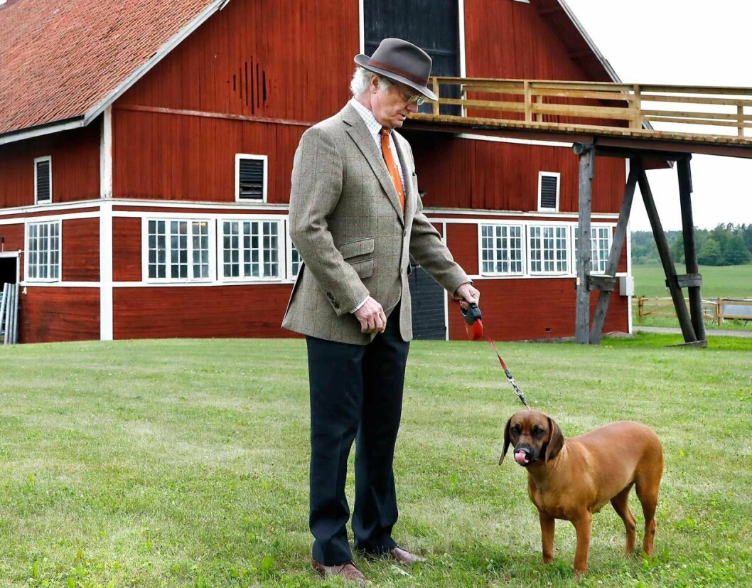 Kungen och hans hund Brandie bjuder in till ett mycket speciellt kaffekalas. Kungen och hans hund Brandie bjuder in till ett mycket speciellt kaffekalas.