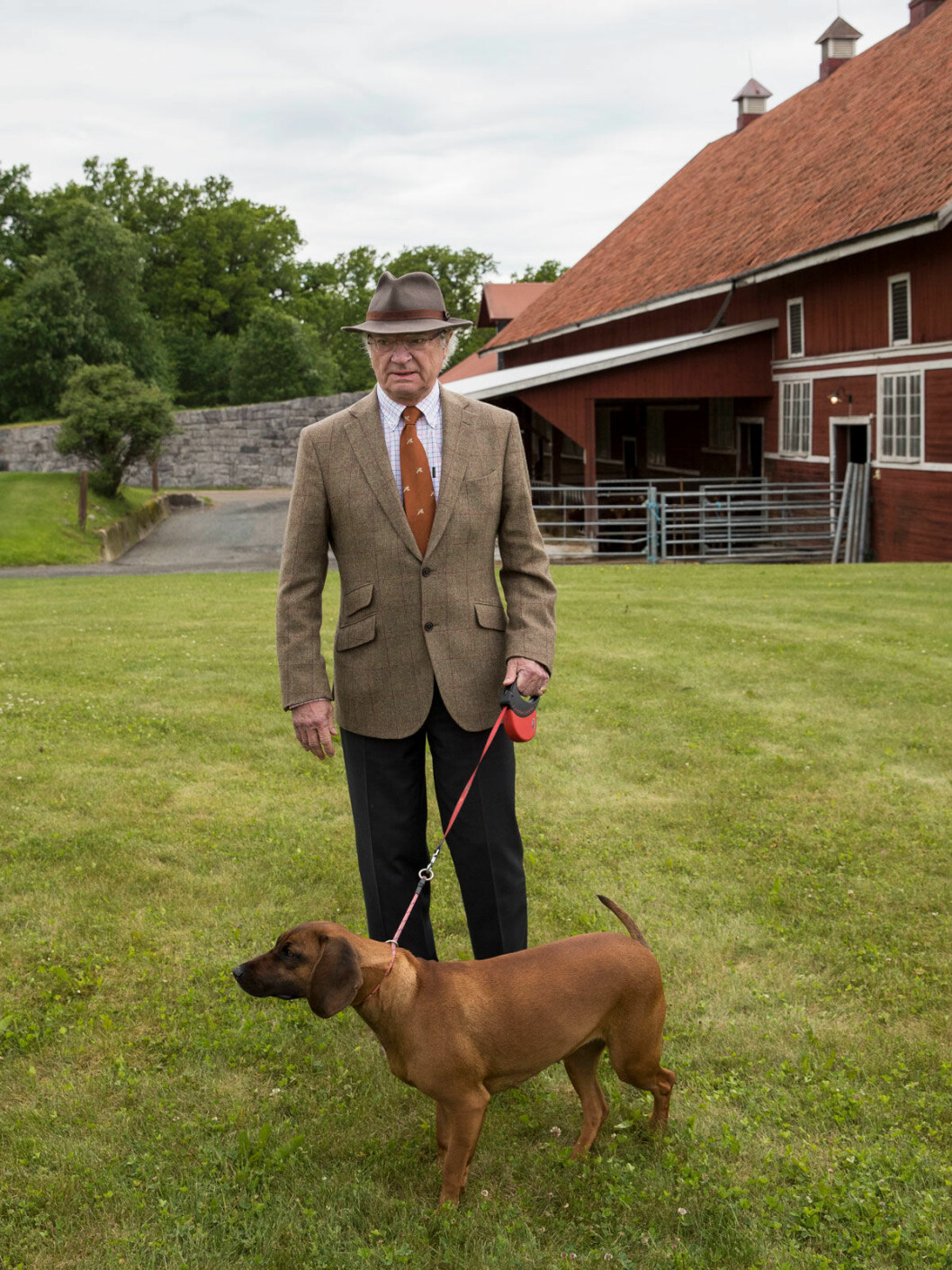 Kungen och Brandie.