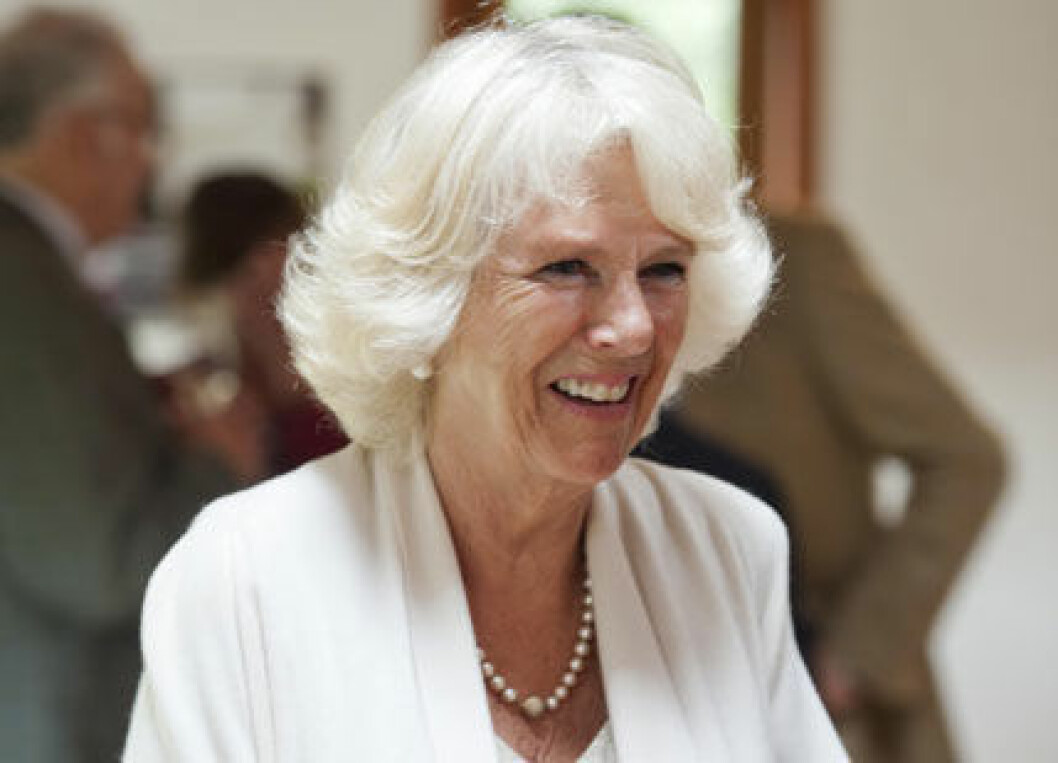 camilla-ao