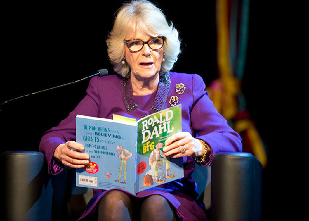 camilla-bok