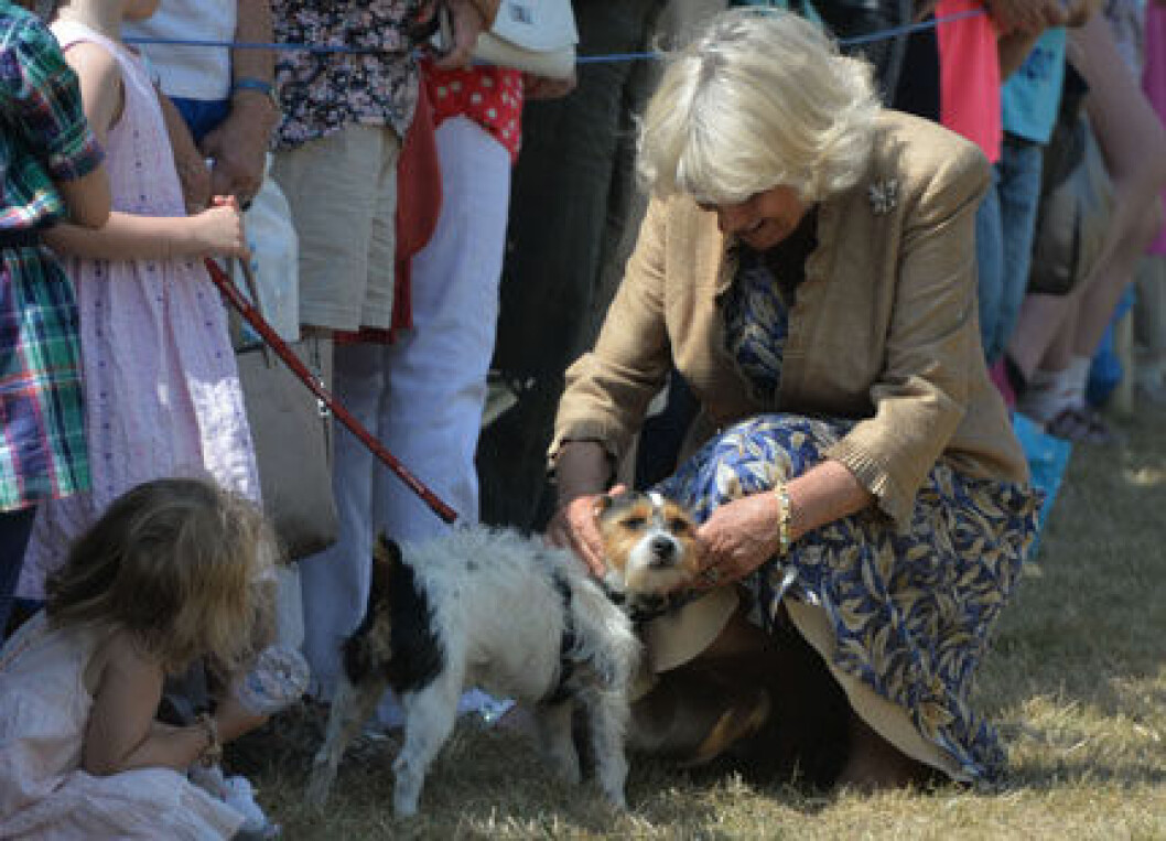 camilla-hund-2-ste