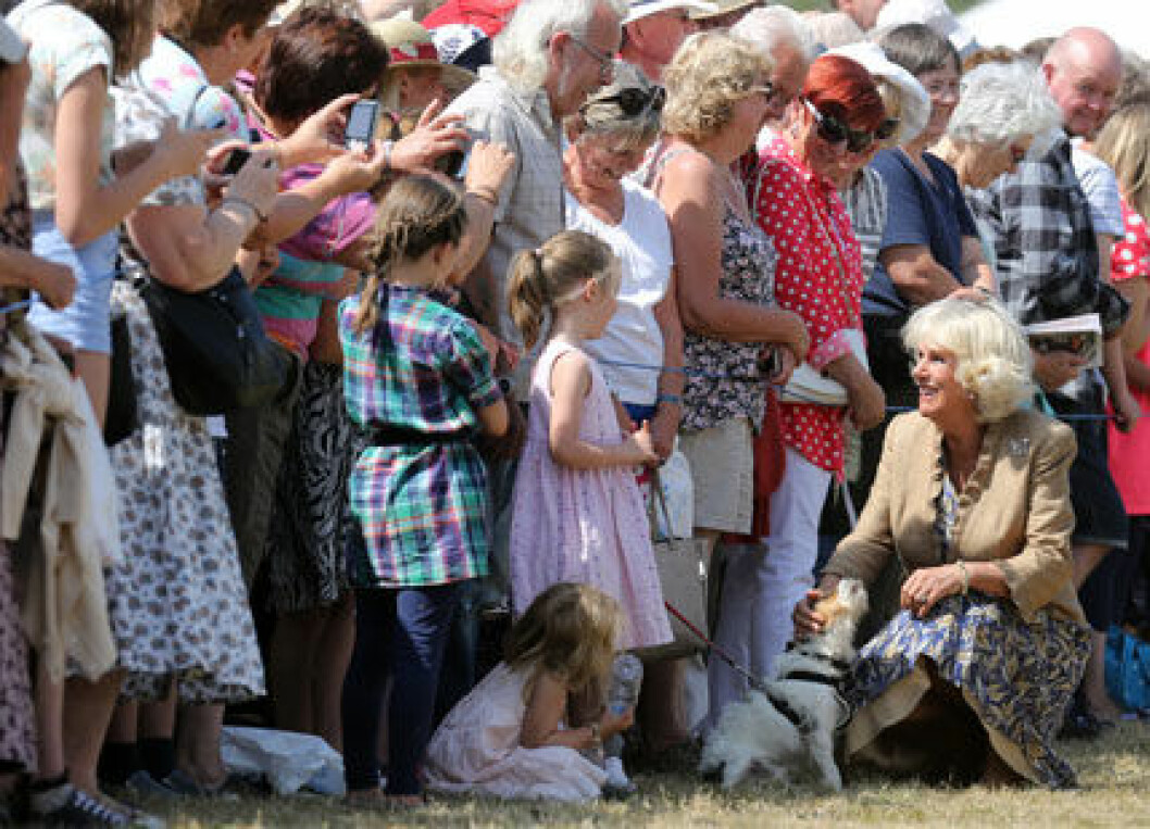 camilla-hund-ste