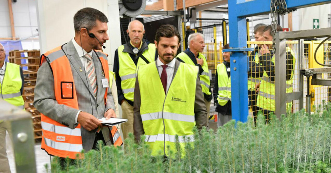 Prins Carl Philip planterade träd under sitt senaste uppdrag. Prins Carl Philip planterade träd under sitt senaste uppdrag.